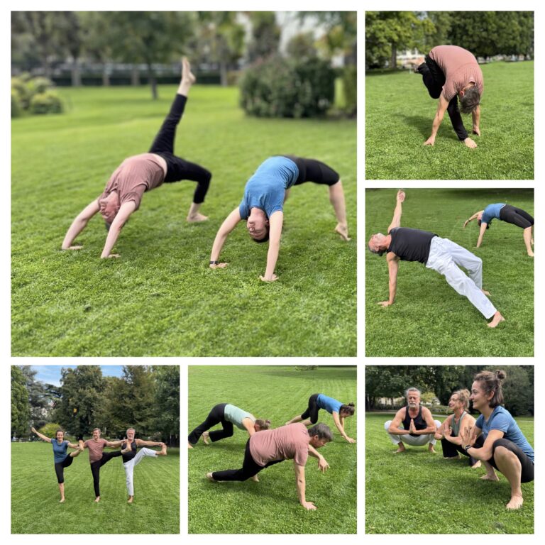 Home Avasthana Yoga. Animals im Park. Sep 25